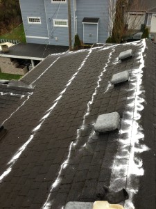 Moss Treatment for Your Roof